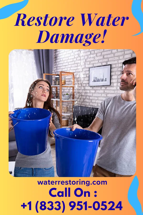 water restoration Prime Restoration & Associates Shannon