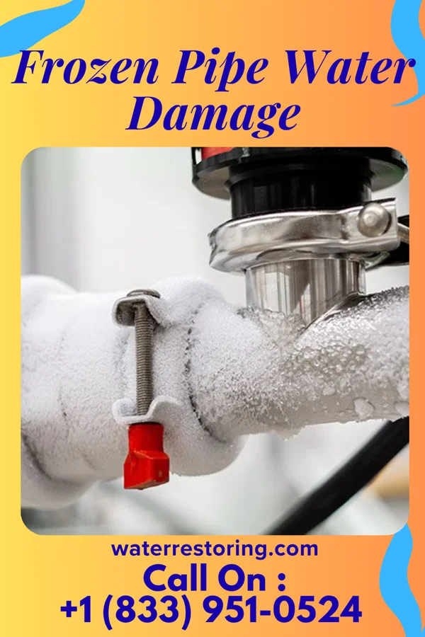 Frozen Pipe Water Damage in Shannon, MS