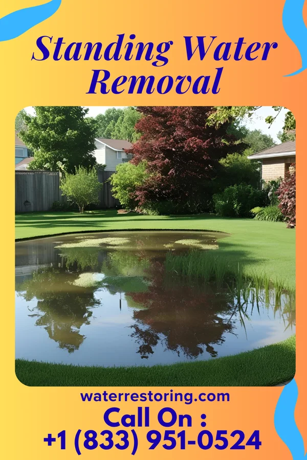 Standing Water Removal in Shannon, MS